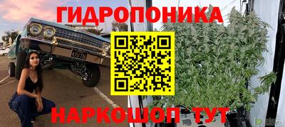прущие крисы Дубна