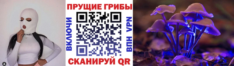 где купить наркотик  Крымск  Псилоцибиновые грибы Psilocybine cubensis 