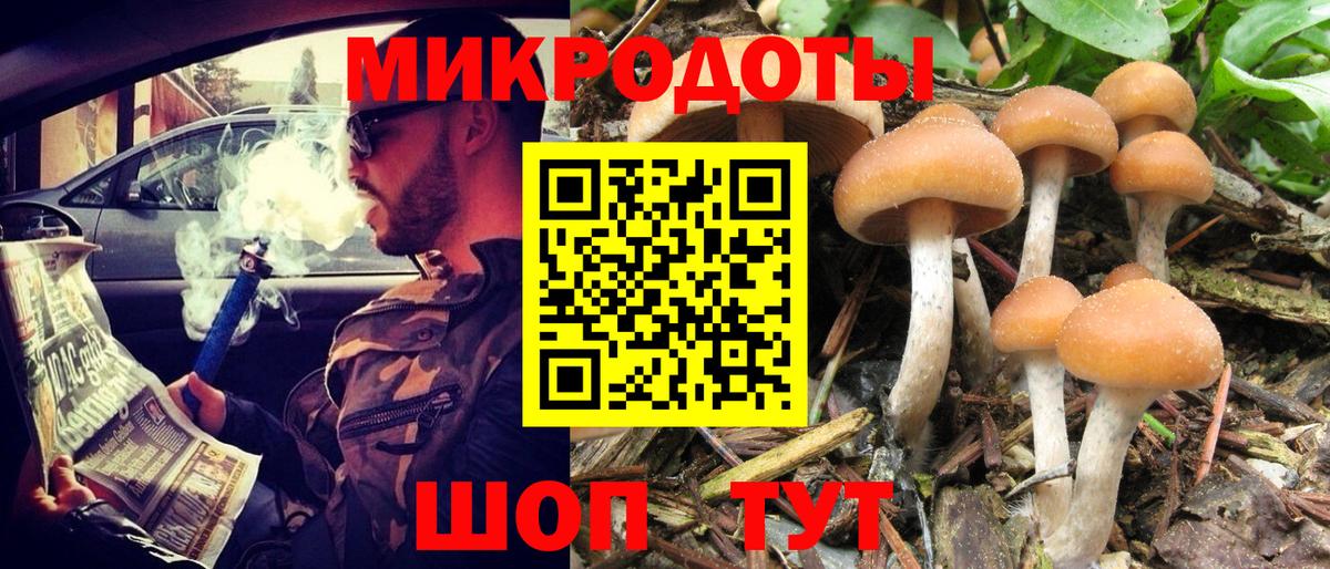 Галлюциногенные грибы Psilocybine cubensis Крымск
