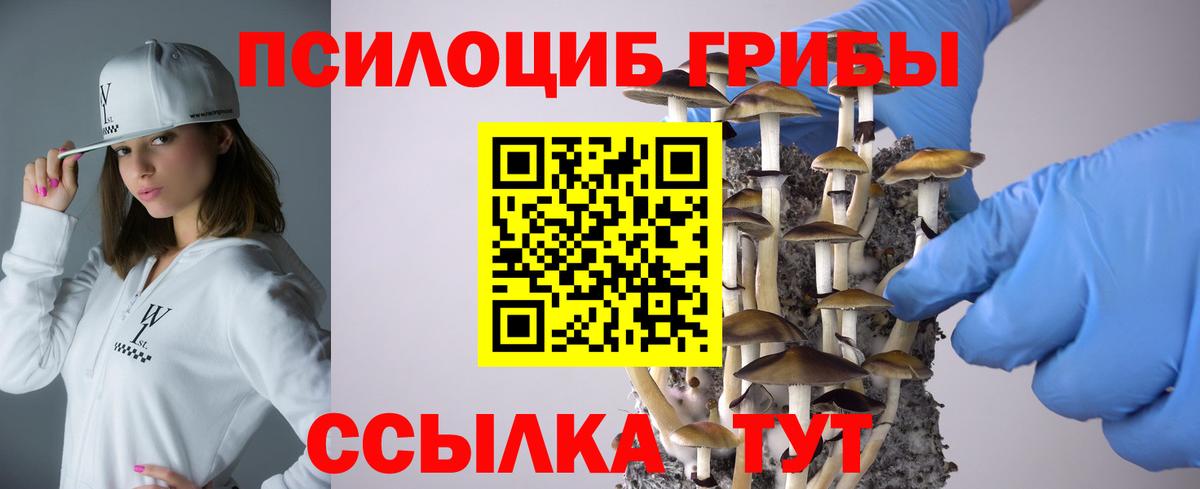 Псилоцибиновые грибы Psilocybe Крымск